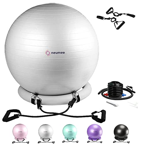 Large Size 65 cm Exercise Ball Chair with Stability Base Q60930
