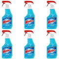 Glass Cleaner Trigger, 6 ct, 23 fl oz T511