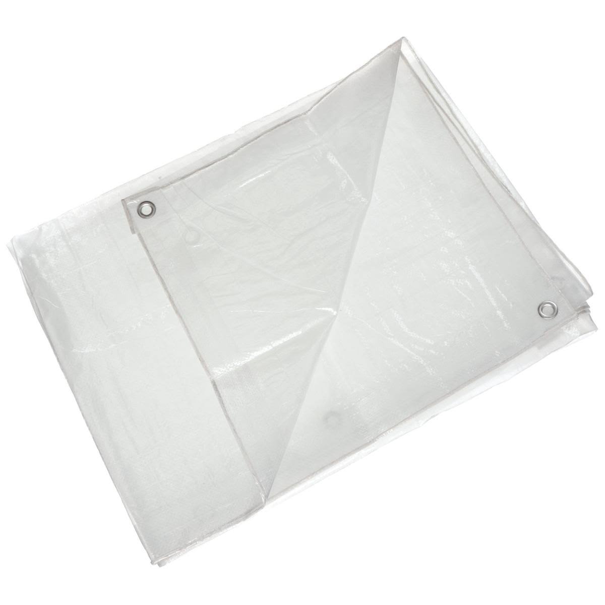 Transparent Polyethylene Tarp 50x80Ft H396