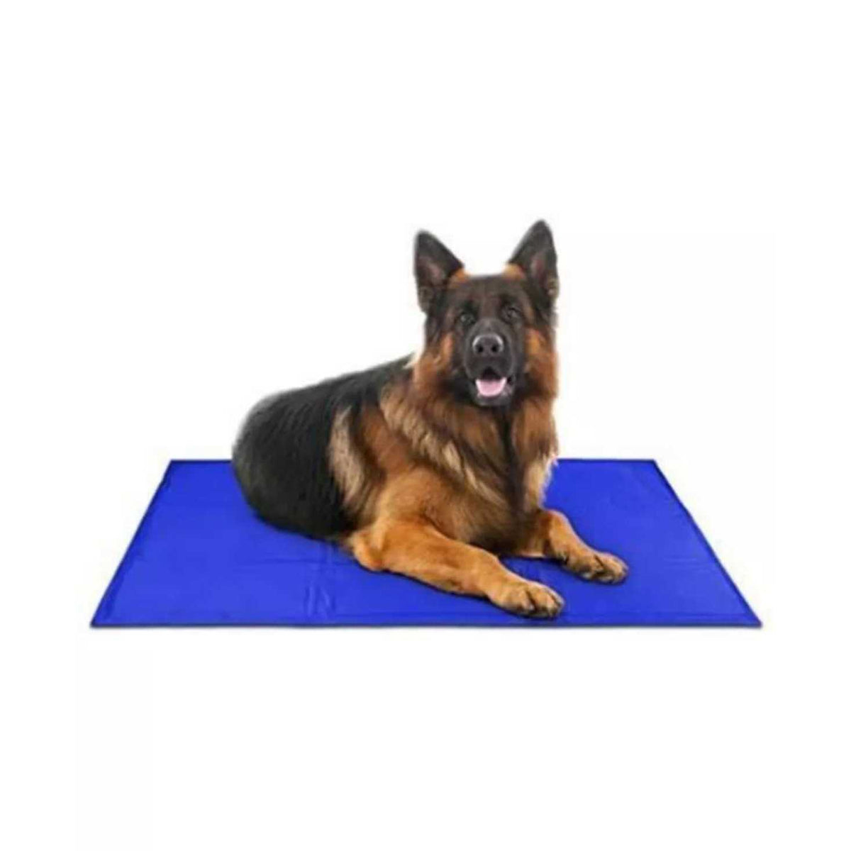 Self Cooling Dog Mat H236498