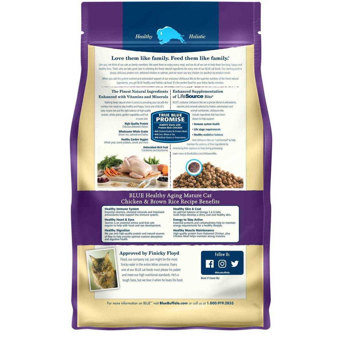 Chicken Dry Cat Food A750