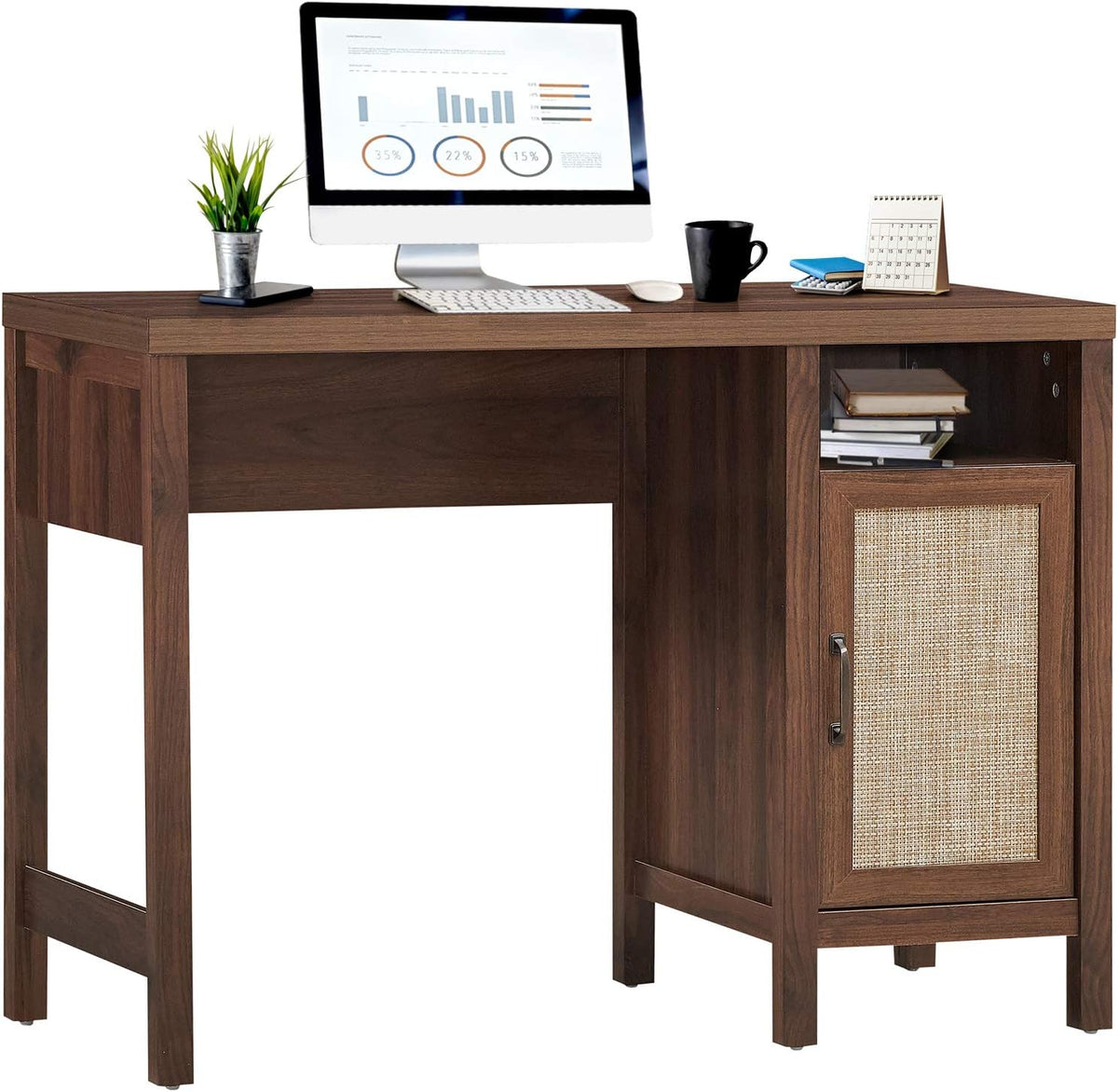 Rustic Wooden Computer Desk with Storage Cabinet X7639