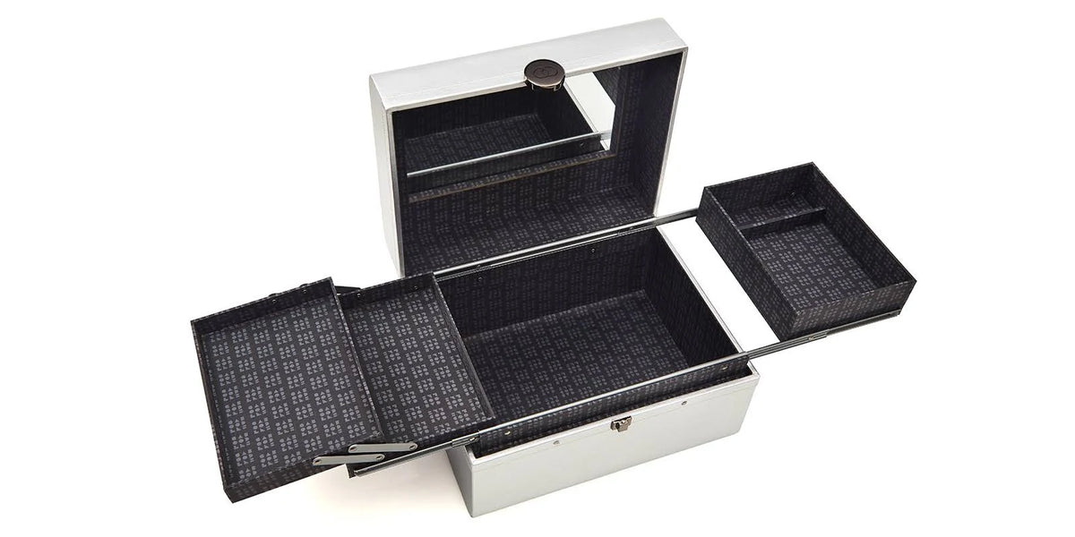 Large Silver Train Case O771557