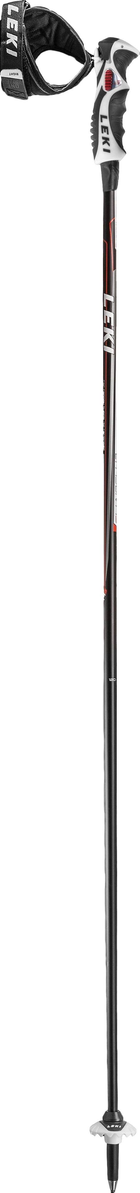 Ski Poles U2385