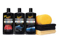 3 Step Paint Care Kit T72864