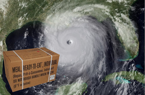 12 Meals Military Surplus Meal Ready to Eat M9321