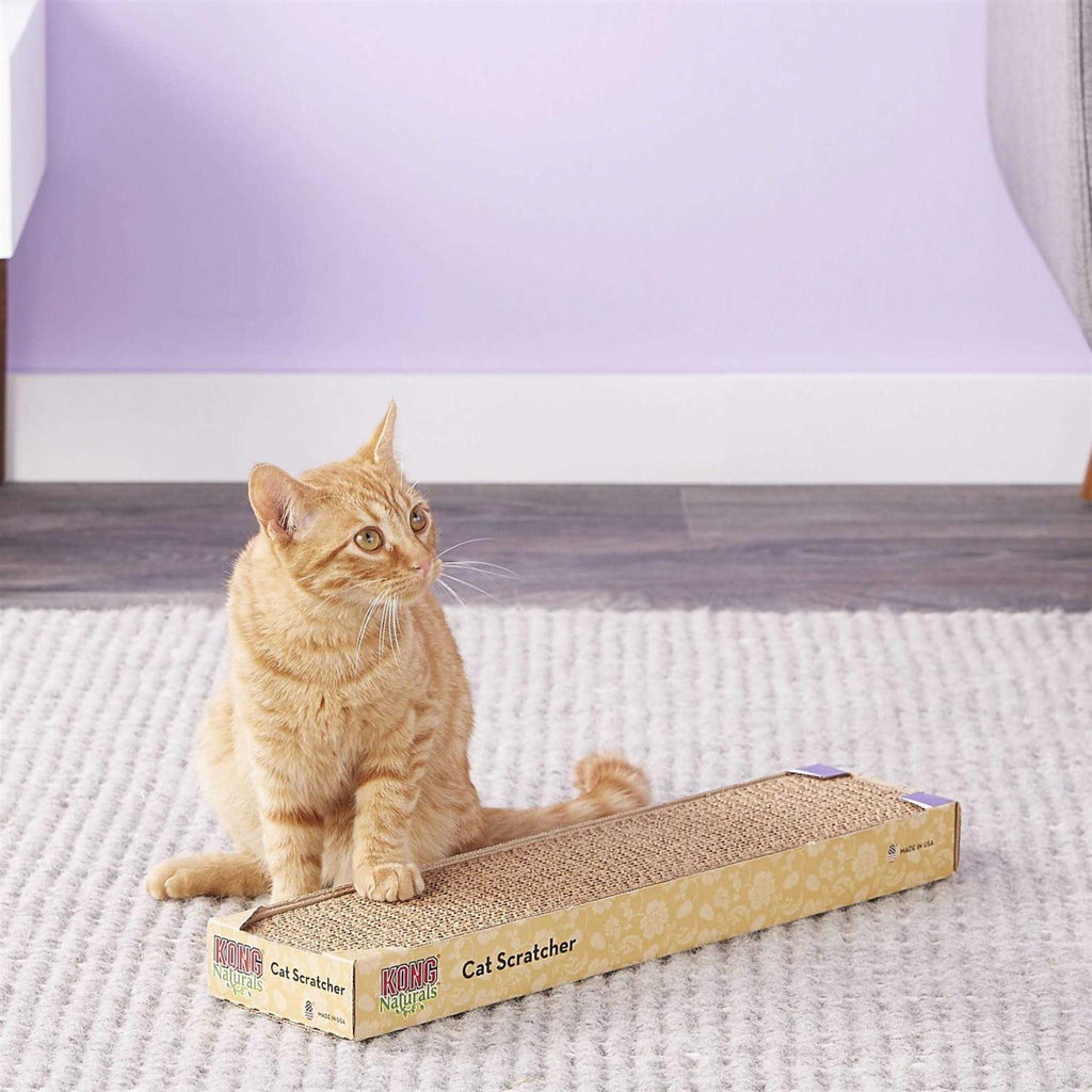 Scratcher Refill H108909