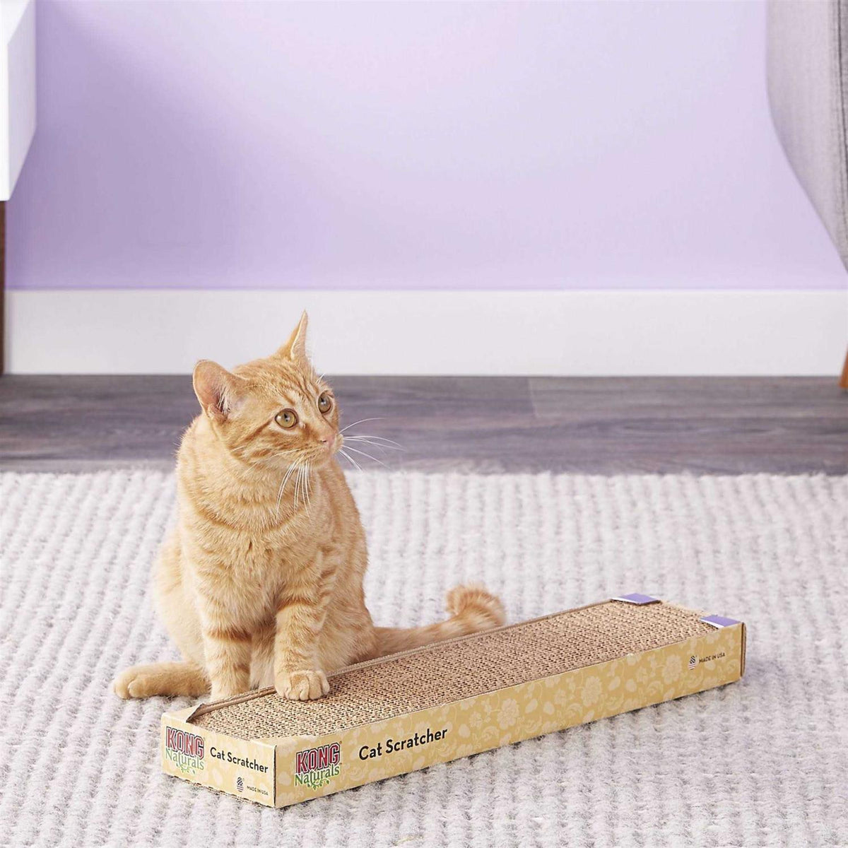Scratcher Refill H108909