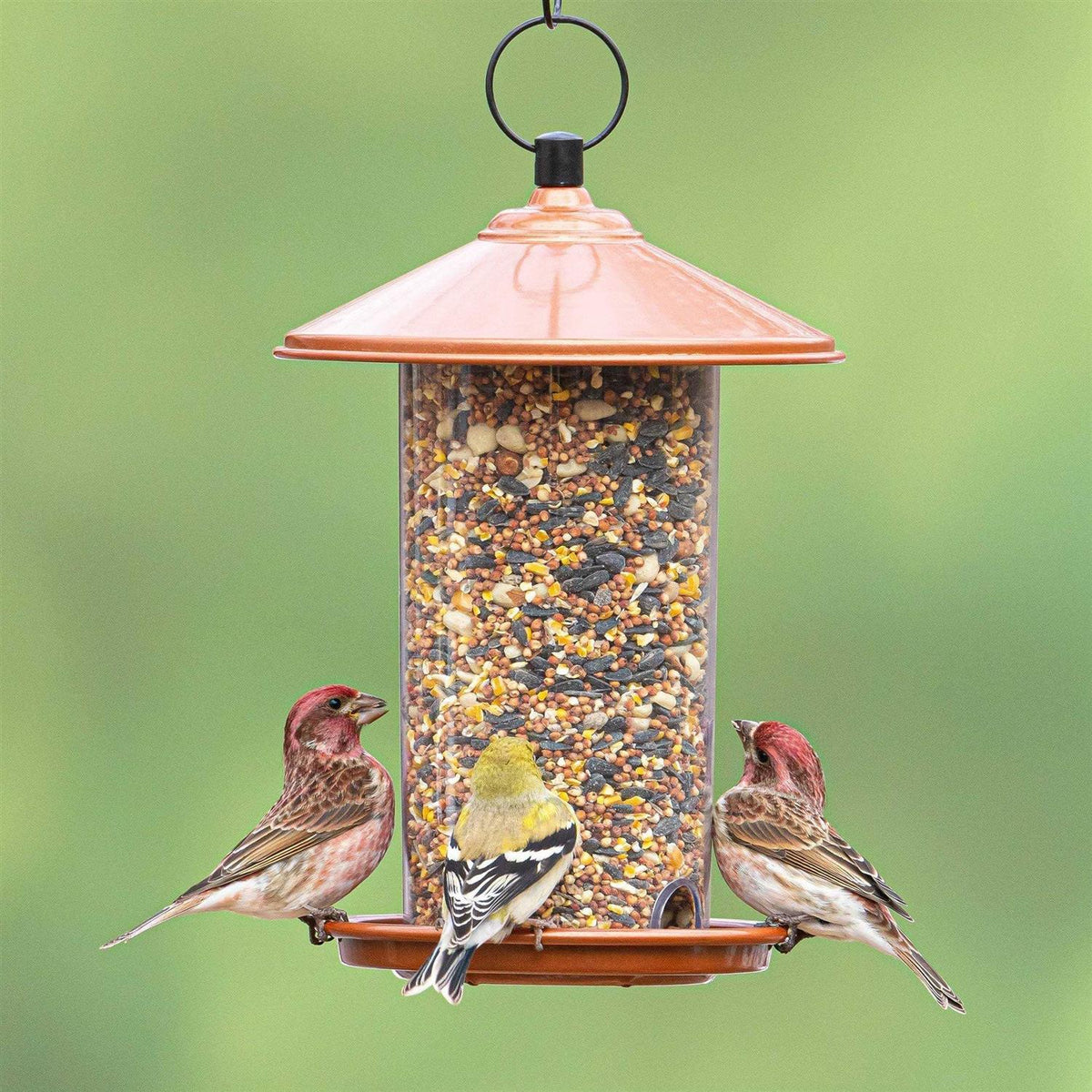 Peanut & Sunflower Wild Bird Feed H5850