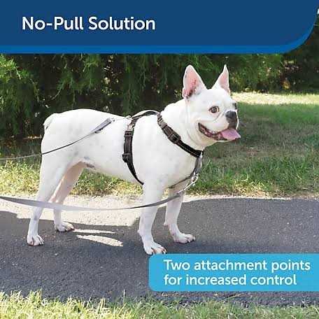 3 in 1 Harness with Leash M97668