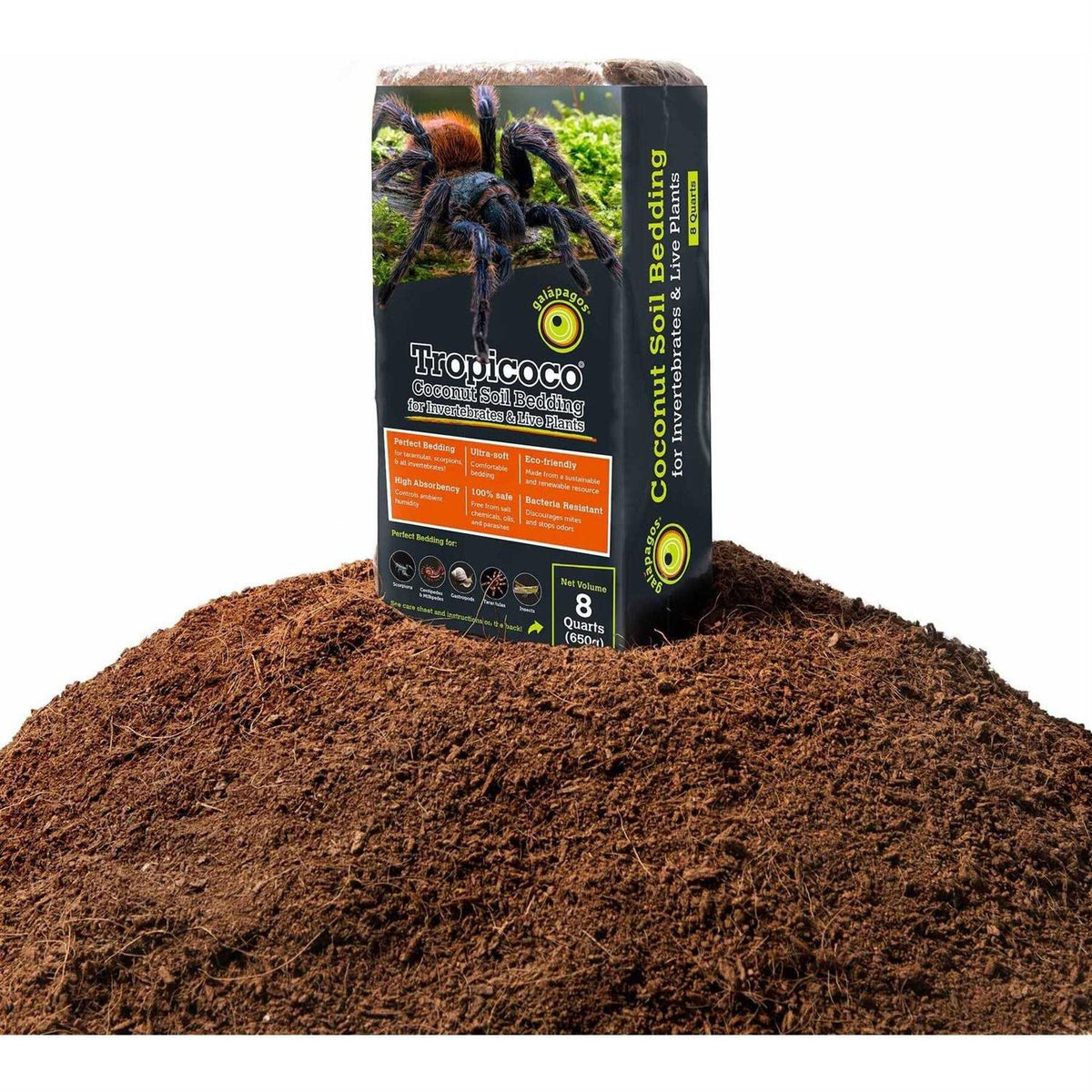 Coconut Soil Invertebrate Bedding M6463
