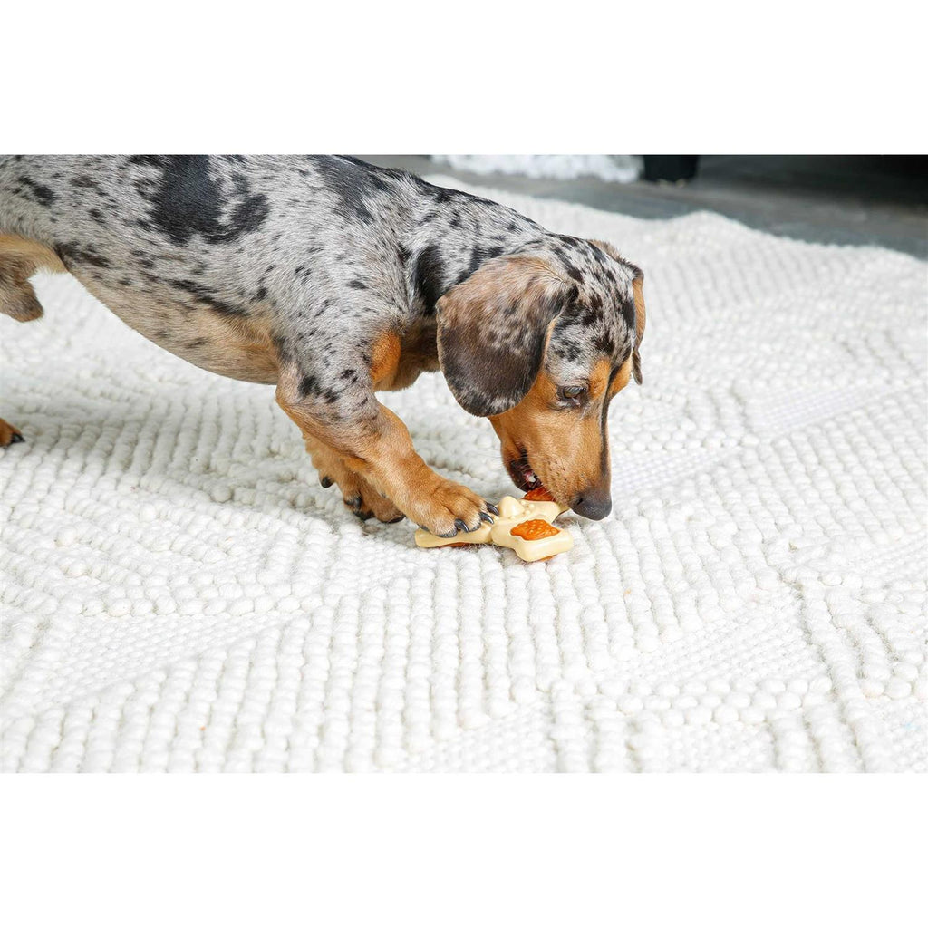 Chew Toy F2360