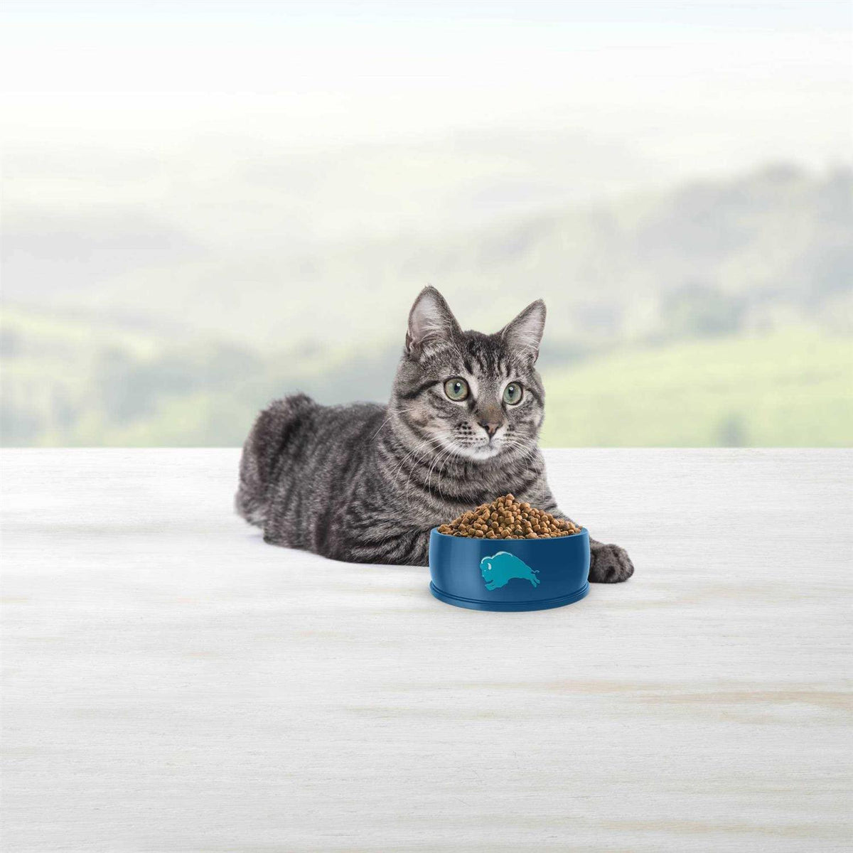 Chicken Dry Cat Food A750