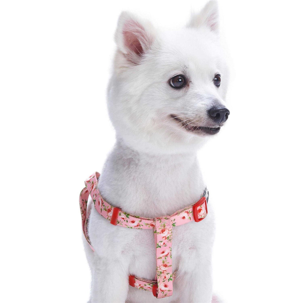 Step Dog Harness P800