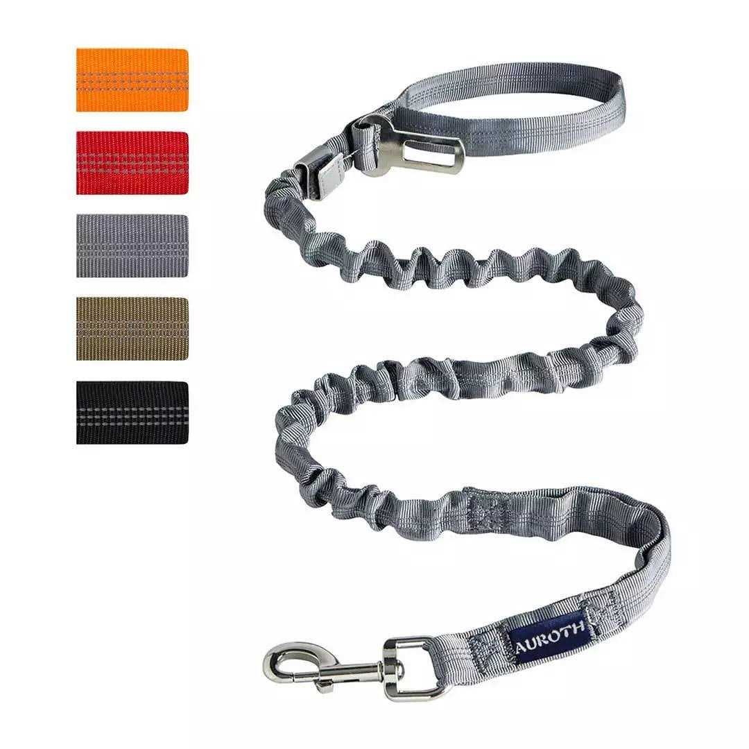 Heavy Duty Bungee Dog Leash O174770