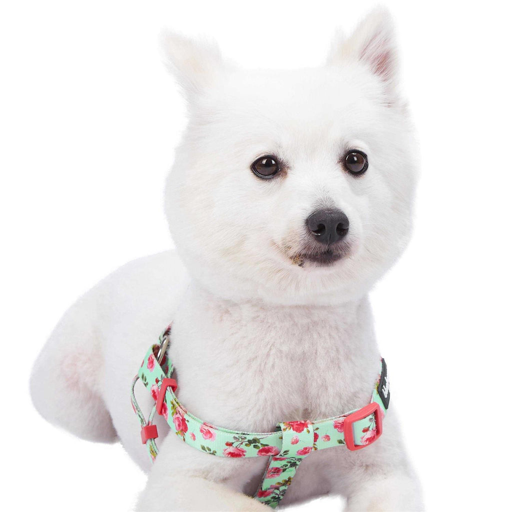 Step Dog Harness P800