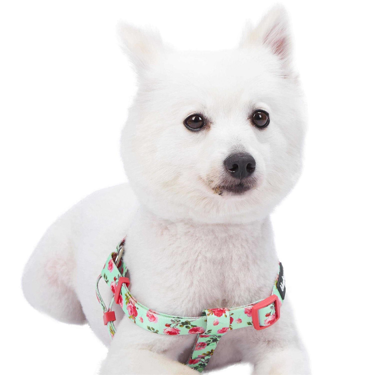 Step Dog Harness P800