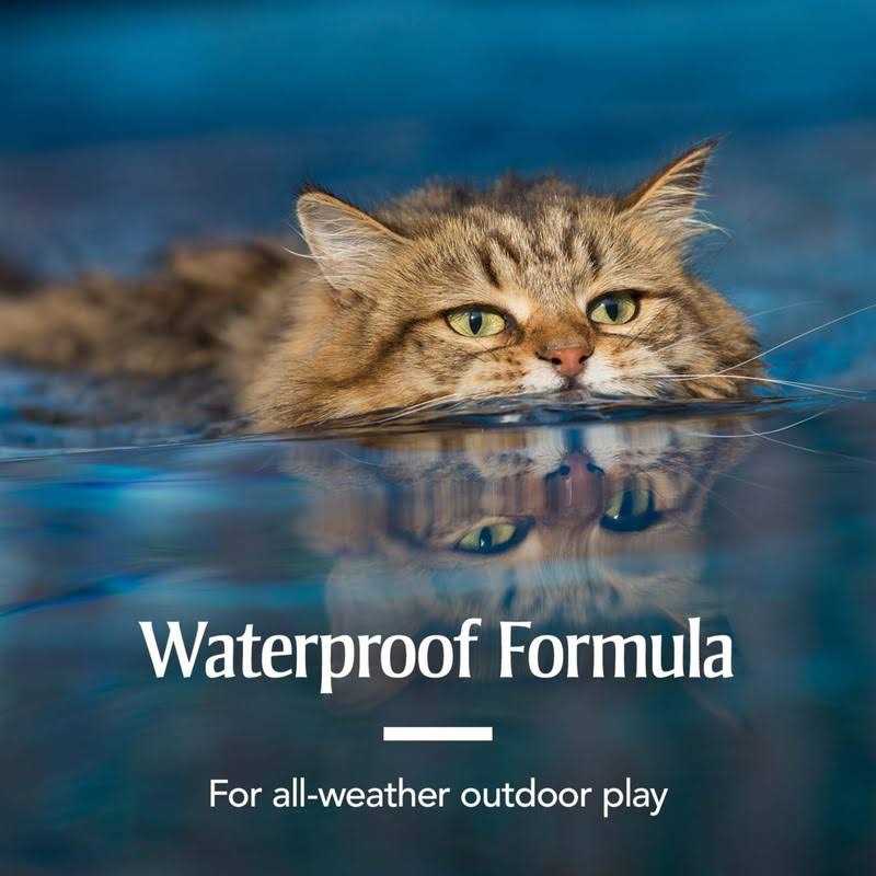 Flea and Tick Treatment for Cats Z3048