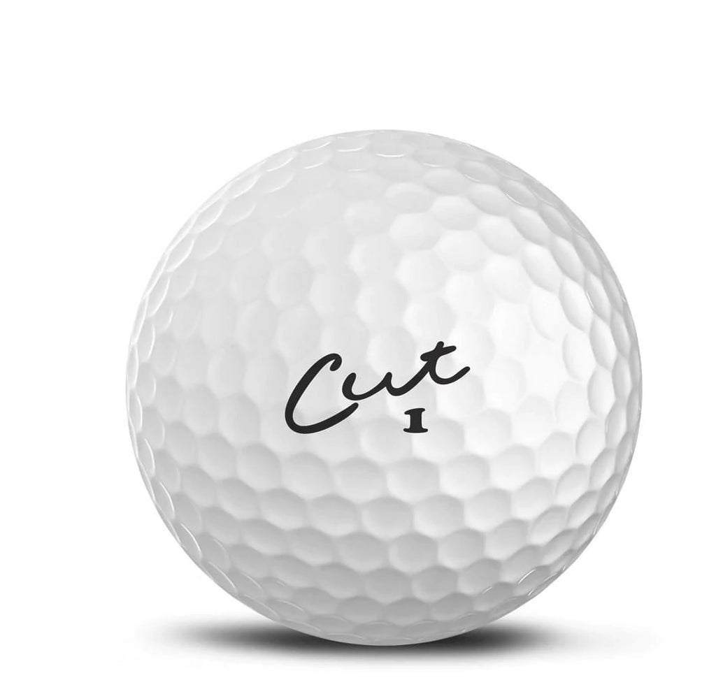 White 2 Piece Ionomer Golf Balls 24 Pack R8234