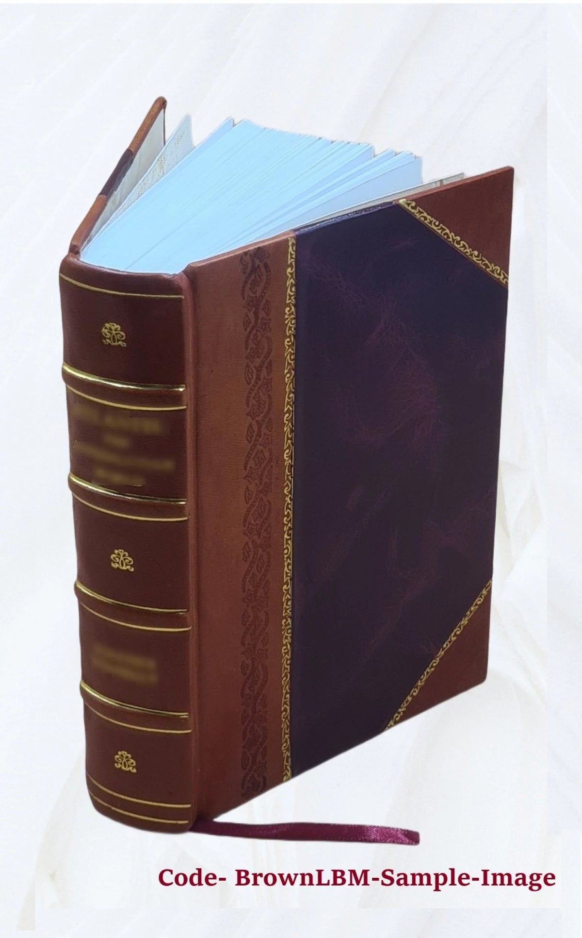 Electric Light and Power Companies Directory Leather Bound E399571