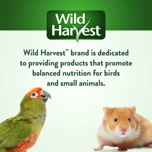 Universal Blend Birds Pet Supplies L385