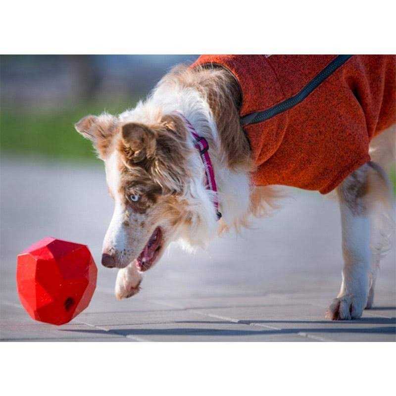 Dog Toy A985402