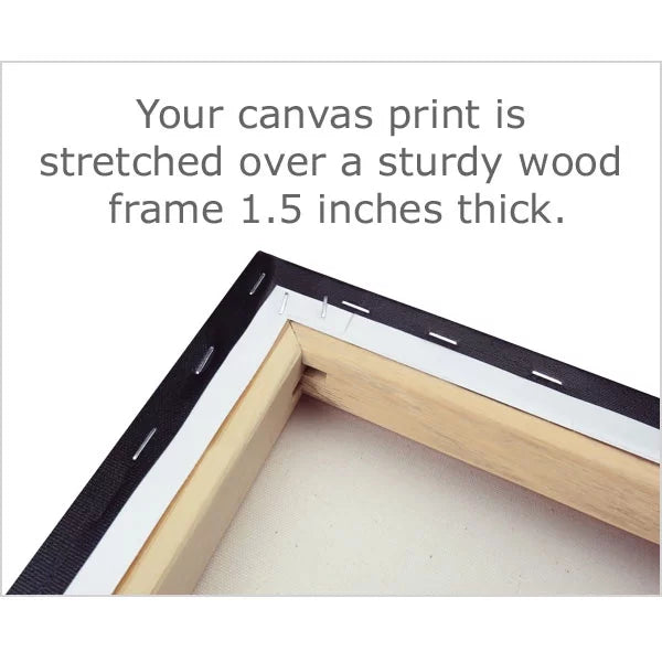 Canvas Print N7765