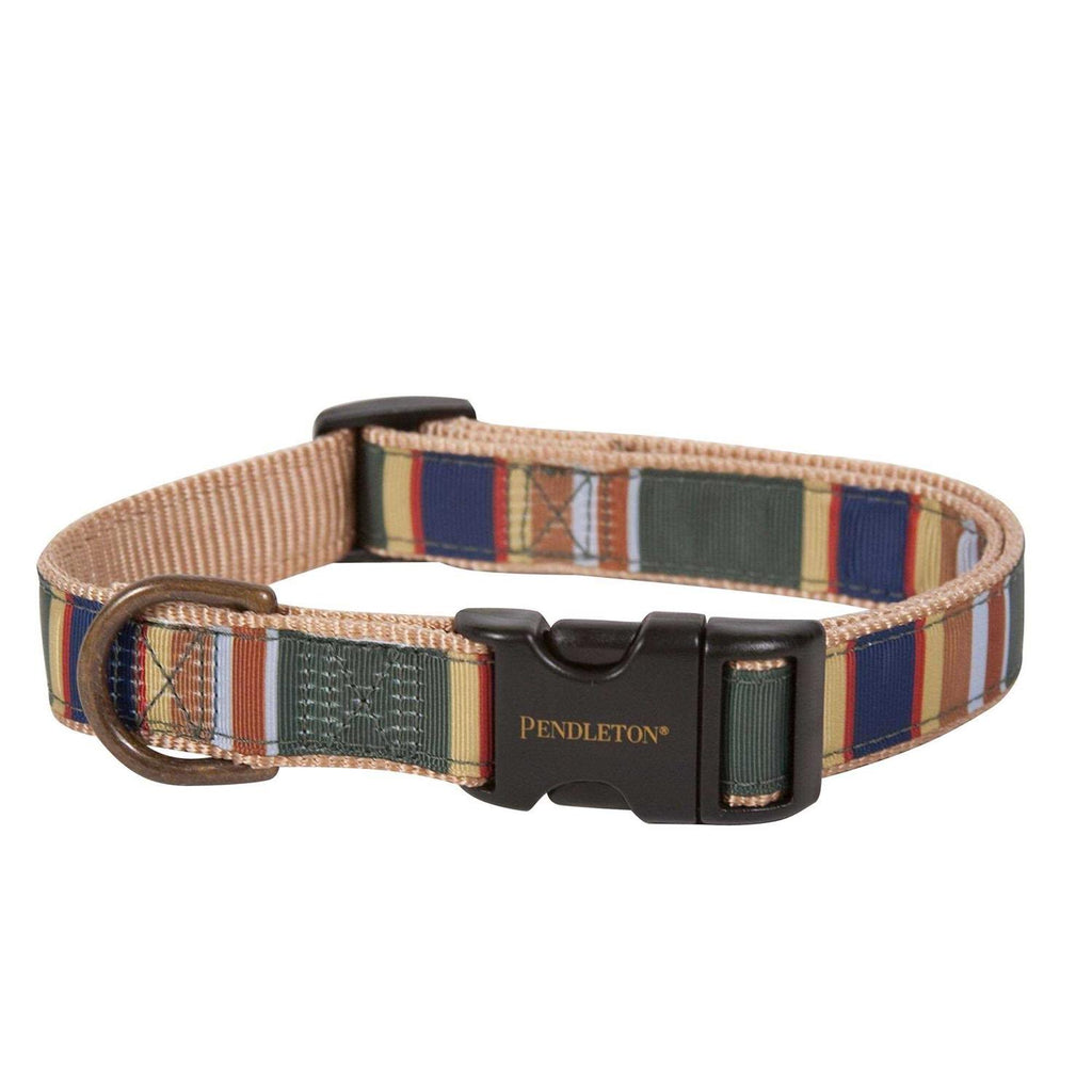 Dog Collar R839770