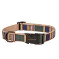 Dog Collar R839770