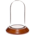 Mini Glass Display Dome Cloche with Walnut Veneer Base O391911