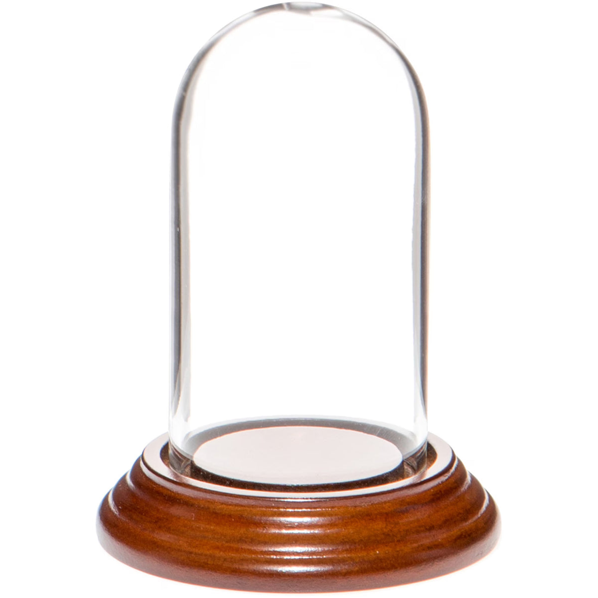 Mini Glass Display Dome Cloche with Walnut Veneer Base O391911