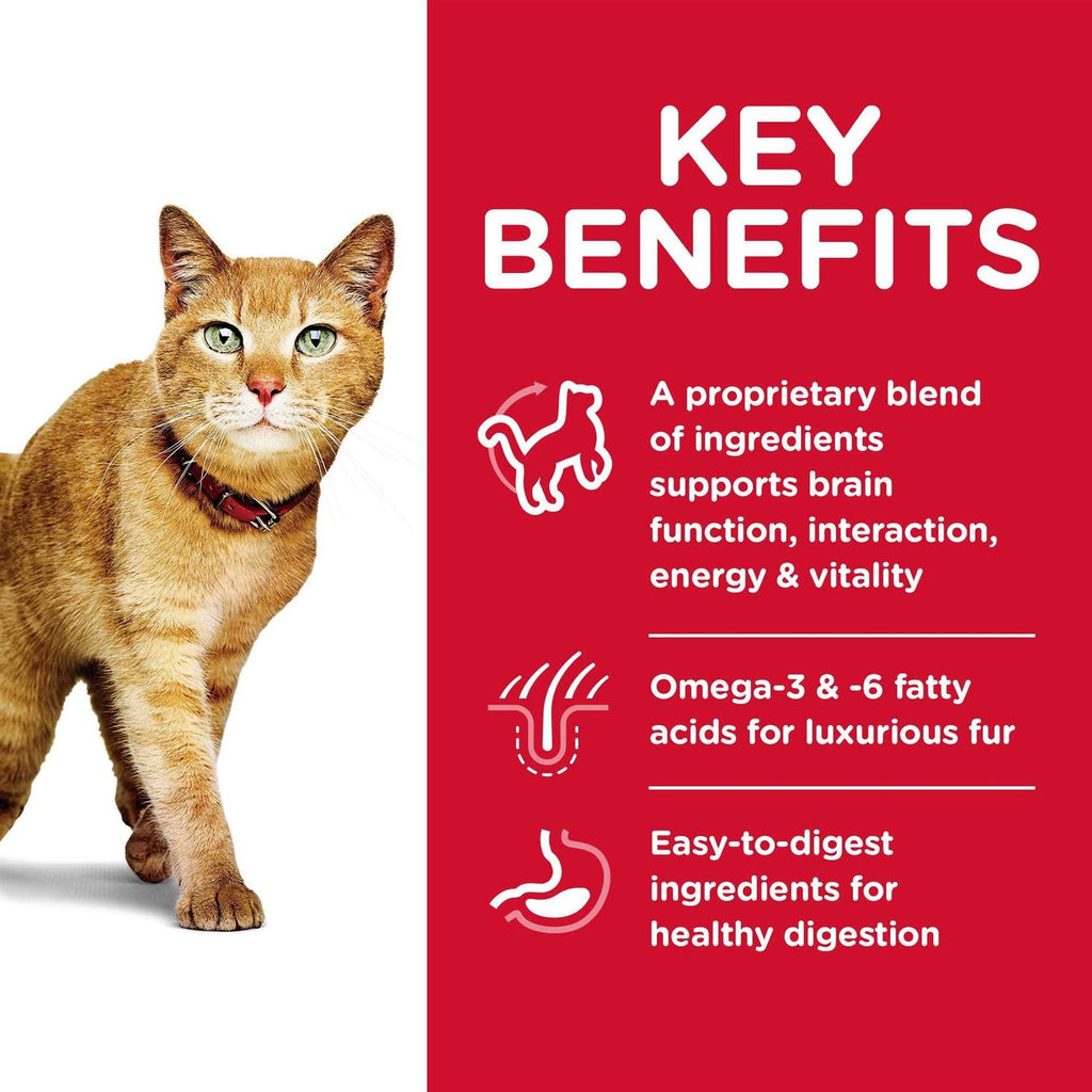 Senior Dry Cat Food F962930