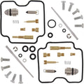 Carburetor Repair Kit Pack of 2 P5520