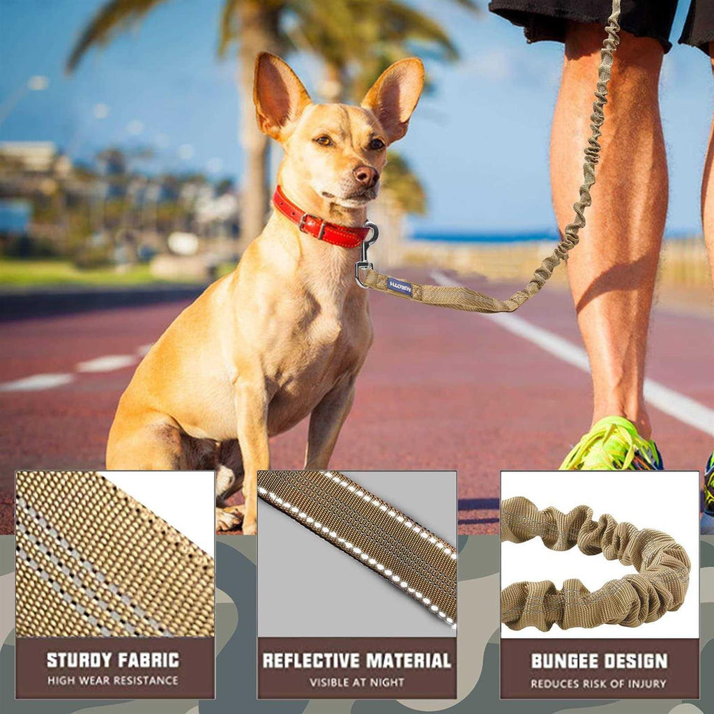 Heavy Duty Bungee Dog Leash O174770