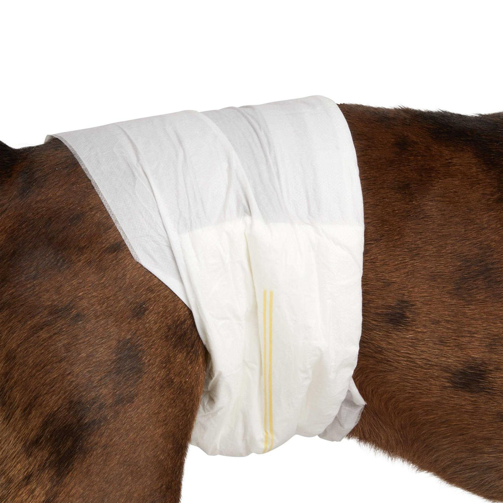 Disposable Wrap For Male Dogs S397