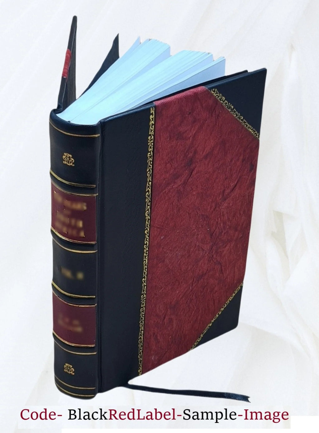 Leather Bound Book N11085
