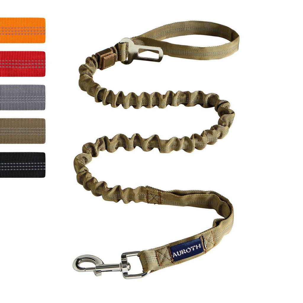 Heavy Duty Bungee Dog Leash O174770
