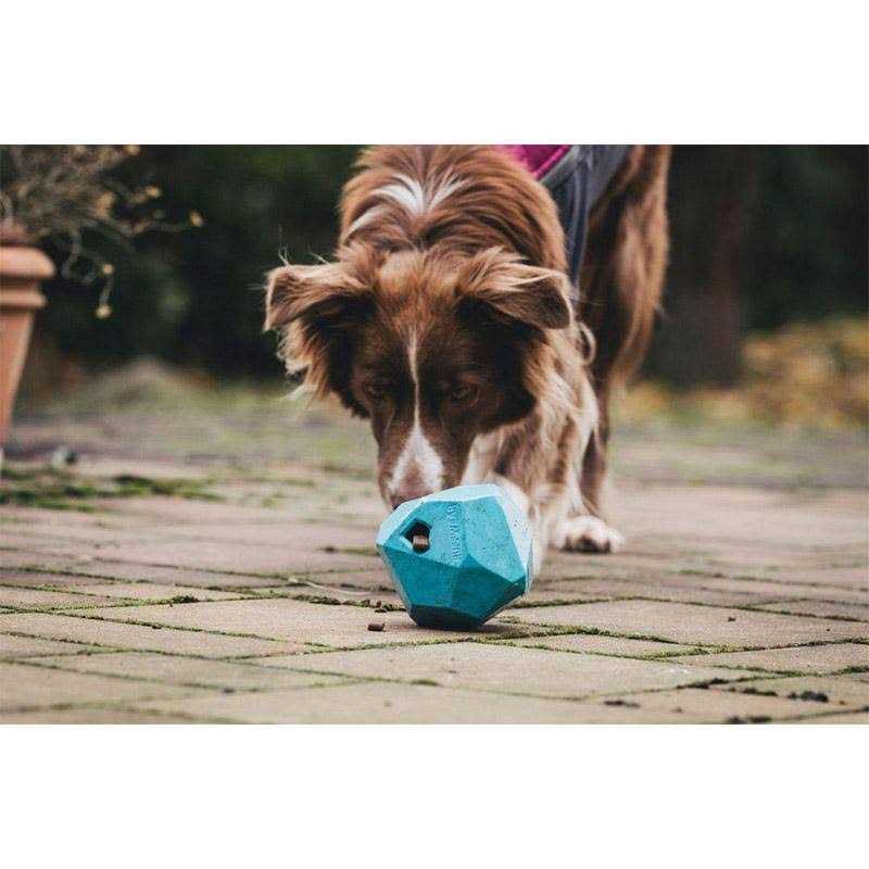 Dog Toy A985402