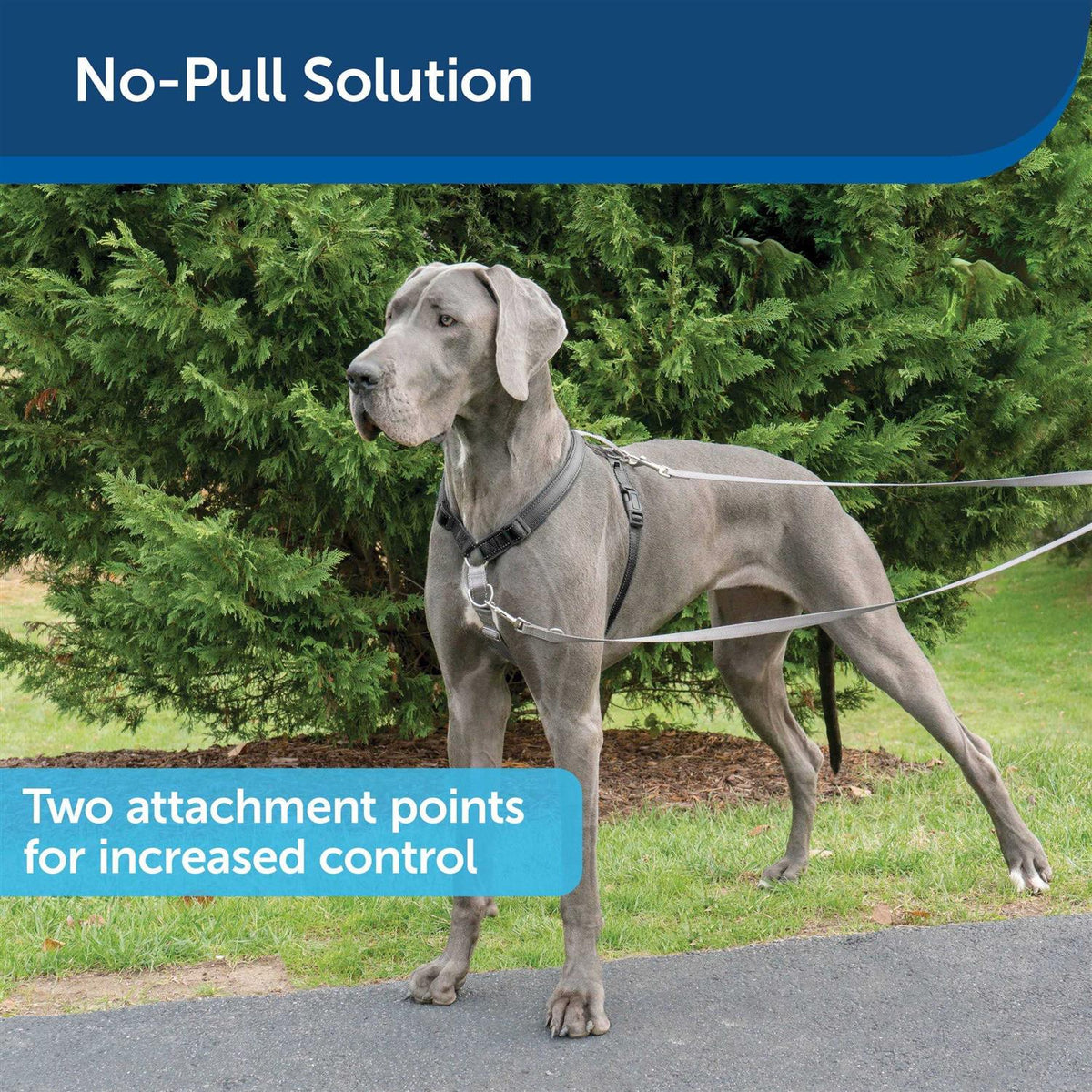 3 in 1 Harness with Leash M97668